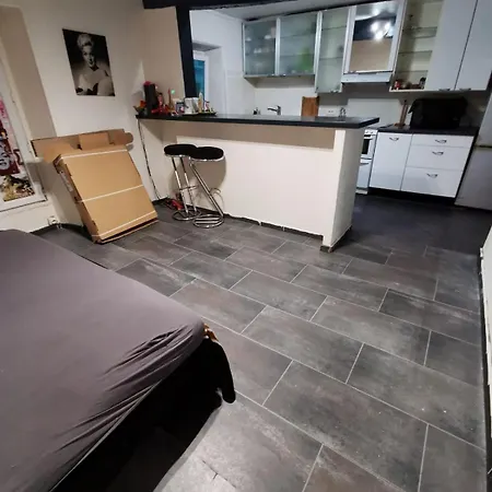 Roger Salengro アパート シャビル