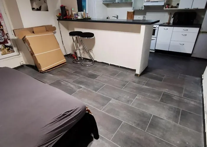 Roger Salengro アパート シャビル