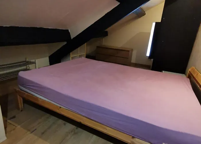 Roger Salengro * シャビル